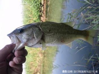 ¥Ö¥é¥Ã¥¯¥Ð¥¹