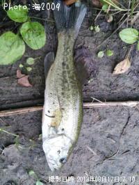 �֥�å��Х�