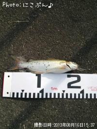 ����åȥե��å���