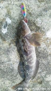 �����ʥ�