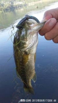 �֥�å��Х�