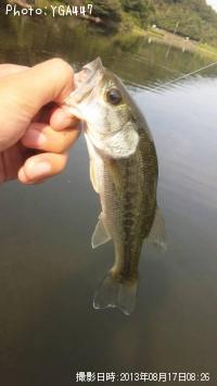 �֥�å��Х�