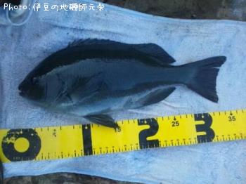 �����᥸��