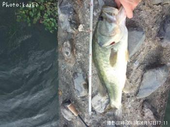 �֥�å��Х�