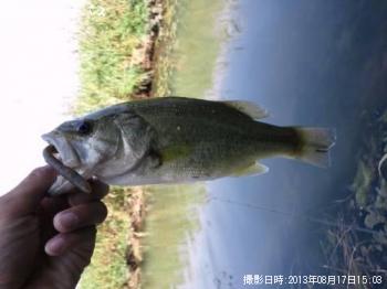 �֥�å��Х�