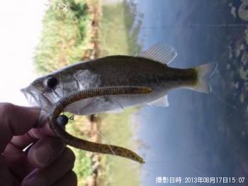 �֥�å��Х�