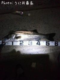 �����Х�