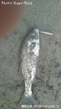 �����Х�