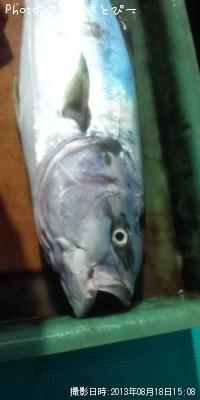 ¥ï¥é¥µ¡õ¥·¥¤¥é¡õ¥µ¥Ð¡õ¥·¥ç¥´¡õ¥¤¥È¥è¥ê¡õ¥¨¥½¡Ä