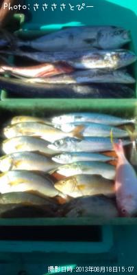 ¥ï¥é¥µ¡õ¥·¥¤¥é¡õ¥µ¥Ð¡õ¥·¥ç¥´¡õ¥¤¥È¥è¥ê¡õ¥¨¥½¡Ä