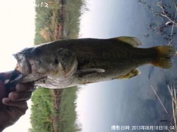 ¥Ö¥é¥Ã¥¯¥Ð¥¹