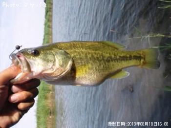 ¥Ö¥é¥Ã¥¯¥Ð¥¹