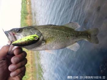 ¥Ö¥é¥Ã¥¯¥Ð¥¹