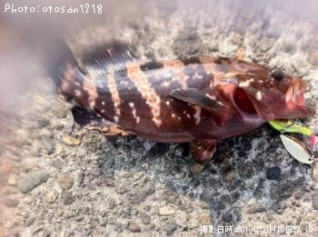 �����ϥ�