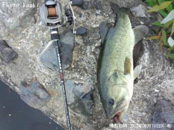 �֥�å��Х�