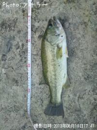 �֥�å��Х�