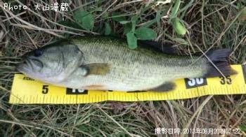 �֥�å��Х�