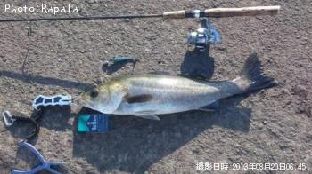 �����Х�