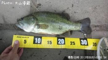 ¥Ö¥é¥Ã¥¯¥Ð¥¹