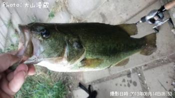 ¥Ö¥é¥Ã¥¯¥Ð¥¹