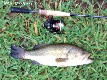 �֥�å��Х�