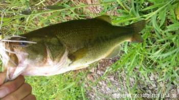 ¥Ö¥é¥Ã¥¯¥Ð¥¹