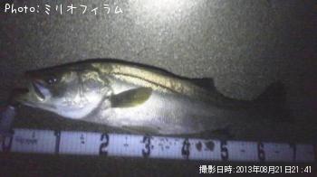 �����Х�