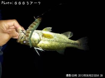 ¥Ö¥é¥Ã¥¯¥Ð¥¹