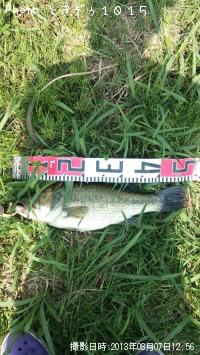 �֥�å��Х�