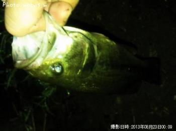 �֥�å��Х�