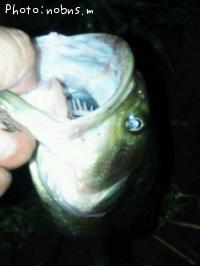 �֥�å��Х�