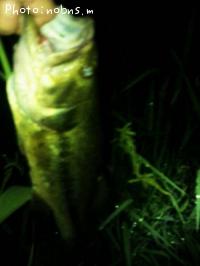 ¥Ö¥é¥Ã¥¯¥Ð¥¹