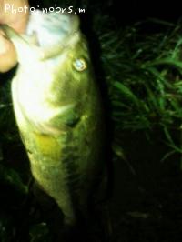 �֥�å��Х�