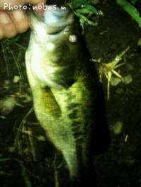 ¥Ö¥é¥Ã¥¯¥Ð¥¹