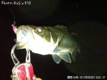 �����Х�