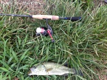 �֥�å��Х�