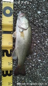 ¥Ö¥é¥Ã¥¯¥Ð¥¹