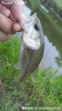 �֥�å��Х�