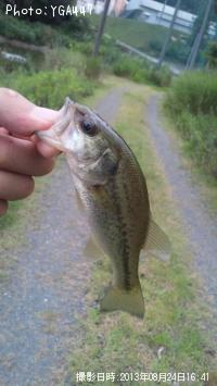 �֥�å��Х�