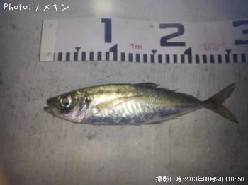 あじ