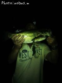 ¥Ö¥é¥Ã¥¯¥Ð¥¹