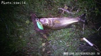 ¥Ö¥é¥Ã¥¯¥Ð¥¹