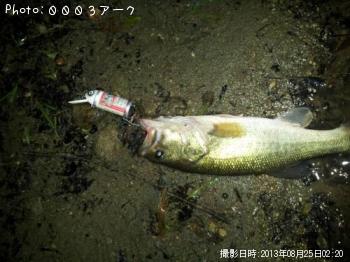 ¥Ö¥é¥Ã¥¯¥Ð¥¹