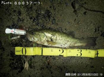 ¥Ö¥é¥Ã¥¯¥Ð¥¹