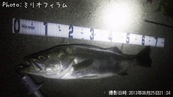 �����Х�