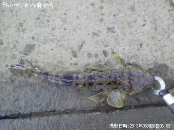�ޥ���
