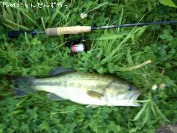 �֥�å��Х�