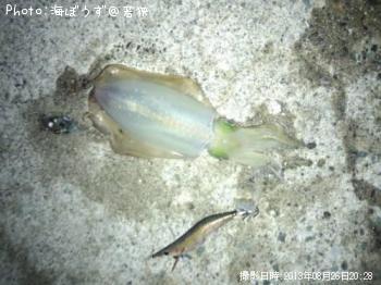 �����ꥤ��