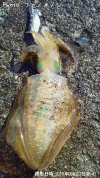 �����ꥤ��