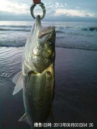 �����Х�